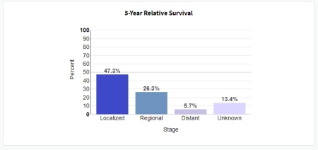 5 Year Survival Rate By Stage 2 copy
